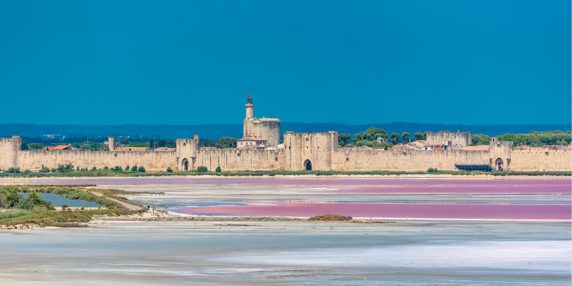 Camargue